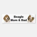Recherche de chien beagle voiture autocollants Beagles