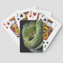 Recherche de serpent vert jeux de cartes Animal