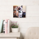 Recherche de chat observé par bleu Amoureux des chats