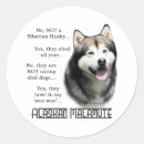 Recherche de malamute autocollants Chien