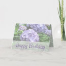 Recherche de hydrangea anniversaire cartes Jardin