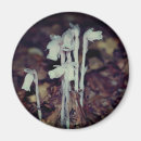 Recherche de roses indien magnets Floral