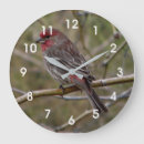 Recherche de finition horloges Faune