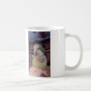 Recherche de perruche verte tasses Jaune