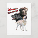 Recherche de labrador retriever noir cartes postales Laboratoire