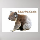 Recherche de joey posters Marsupial
