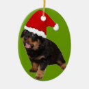 Recherche de rottweiler ornements Chiot