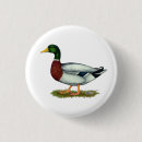 Recherche de volaille badges Oiseau