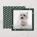 Recherche de chien blanc vœux cartes Vert