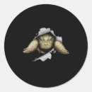 Recherche de amour tortue autocollants Animal