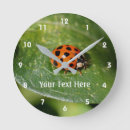 Recherche de coccinelle rouge horloges Insecte
