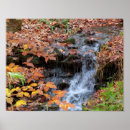 Recherche de chute posters Cascade