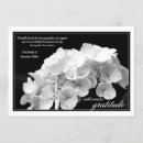 Recherche de hortensias vœux cartes Toute personne