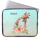 Recherche de faune coques Aquarelle