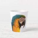 Recherche de photo perroquet tasses Ara