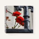 Recherche de fer photographie New york