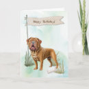 Recherche de dogue de bordeaux Canine