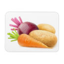 Recherche de racine magnets Légumes