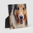 Recherche de animaux memorial plaques Dogs