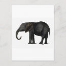 Recherche de éléphants vintages cartes postales Animaux