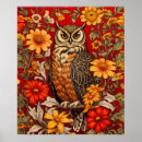 Recherche de hibou coloré posters Chouette