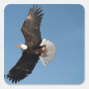 Recherche de aigle en vol autocollants Usa