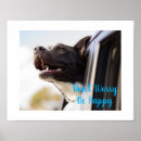 Recherche de visage de chien posters Pour tous