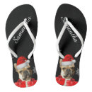 Recherche de bulldog chaussures Chien