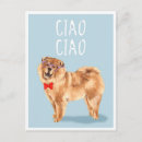 Recherche de dog cartes postales Chow