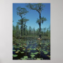 Recherche de humide posters Faune