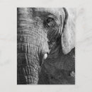 Recherche de un oeil cartes postales Noir et blanc