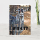 Recherche de stupide vœux cartes Humoristique