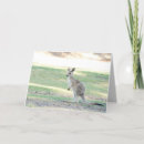 Recherche de marsupiaux vœux cartes Joey