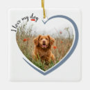 Recherche de oreilles ornements Mignon