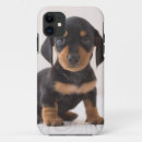 Recherche de chiot de teckel iphone coques Animaux