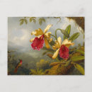 Recherche de orchidée tropicale cartes postales Martin johnson heade