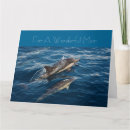 Recherche de beau dauphin vœux cartes Photographie