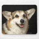 Recherche de brun et blanc tapis souris Animal