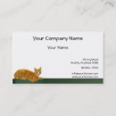 Recherche de chat tigré cartes visite Orange