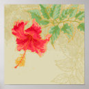 Recherche de de ketmie posters Illustration