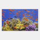 Recherche de coral reef autocollants Vie marine
