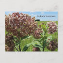Recherche de l indiana cartes postales Été