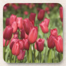 Recherche de pays bas dessous de verres Néerlandais