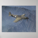 Recherche de p51 posters Oiseaux de guerre