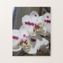 Recherche de orchidée blanche puzzles Botanique