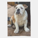 Recherche de petit chien cuisine linges Chiot