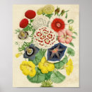 Recherche de bouquet floral posters Nature