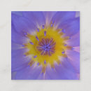 Recherche de macro cartes visite Violet
