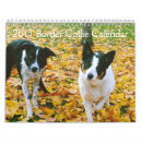 Recherche de border collie bureau fournitures Chien