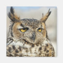 Recherche de curiosité magnets Faune